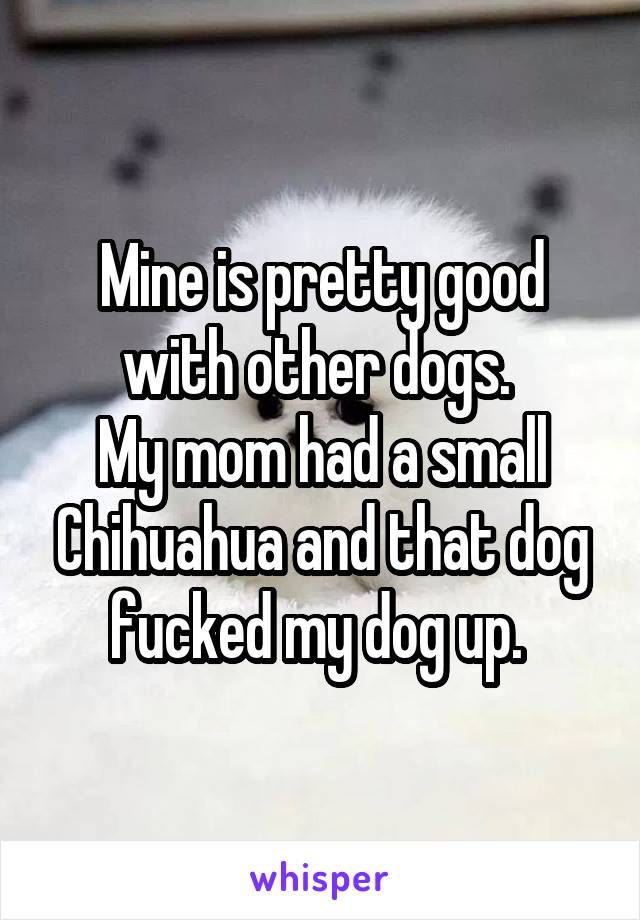 Mine is pretty good with other dogs. 
My mom had a small Chihuahua and that dog fucked my dog up. 