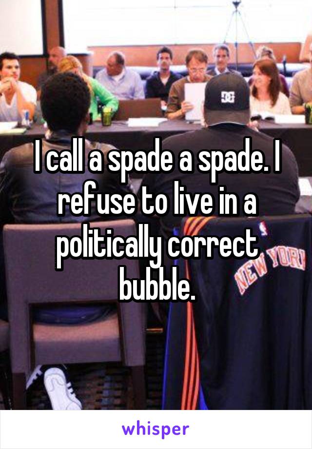 I call a spade a spade. I refuse to live in a politically correct bubble.