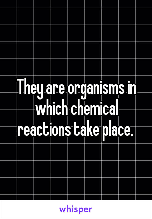They are organisms in which chemical reactions take place. 