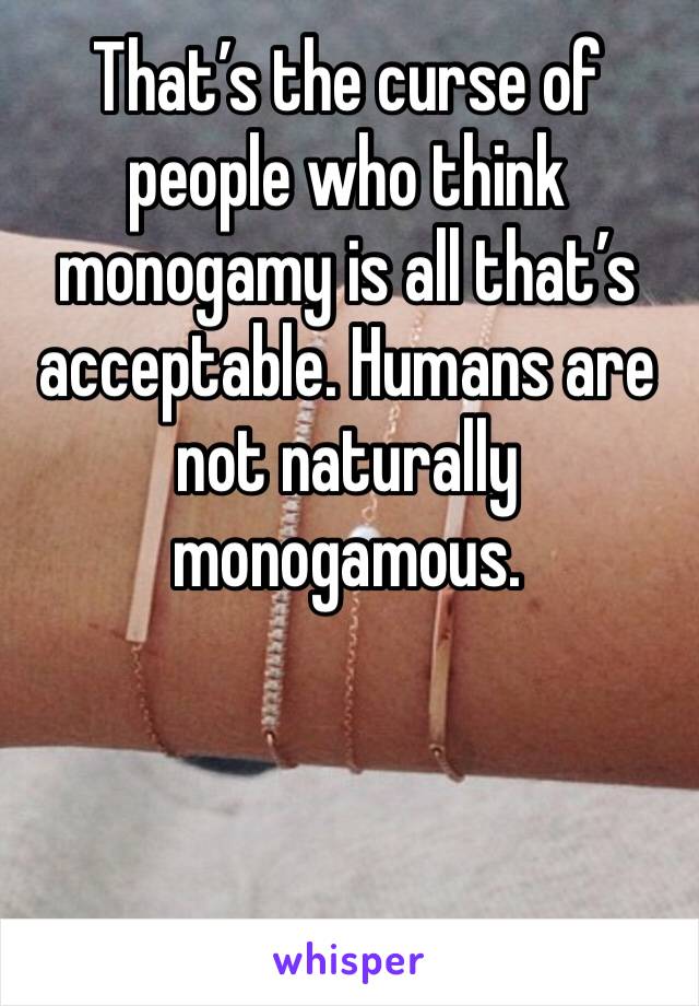 That’s the curse of people who think monogamy is all that’s acceptable. Humans are not naturally monogamous. 