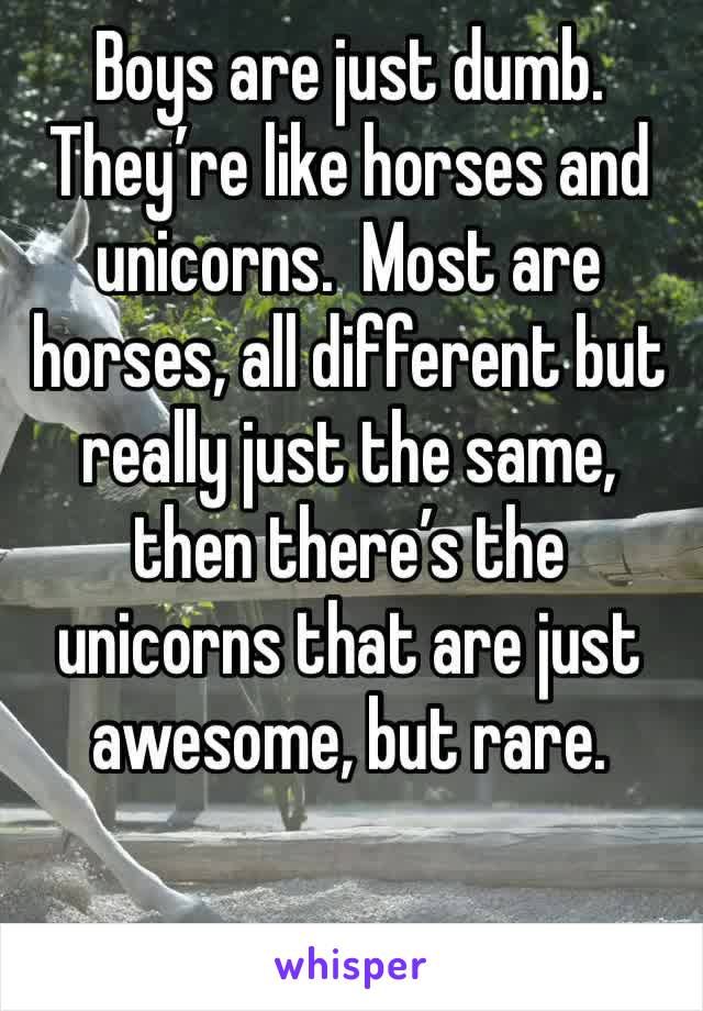 Boys are just dumb.  They’re like horses and unicorns.  Most are horses, all different but really just the same, then there’s the unicorns that are just awesome, but rare.
