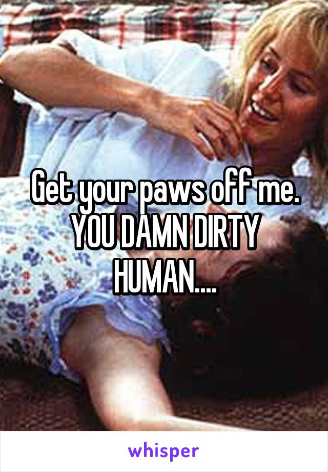 Get your paws off me. YOU DAMN DIRTY HUMAN....
