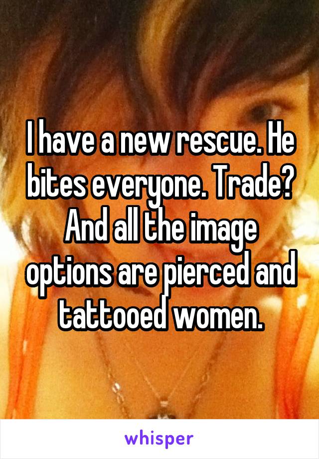 I have a new rescue. He bites everyone. Trade? And all the image options are pierced and tattooed women.