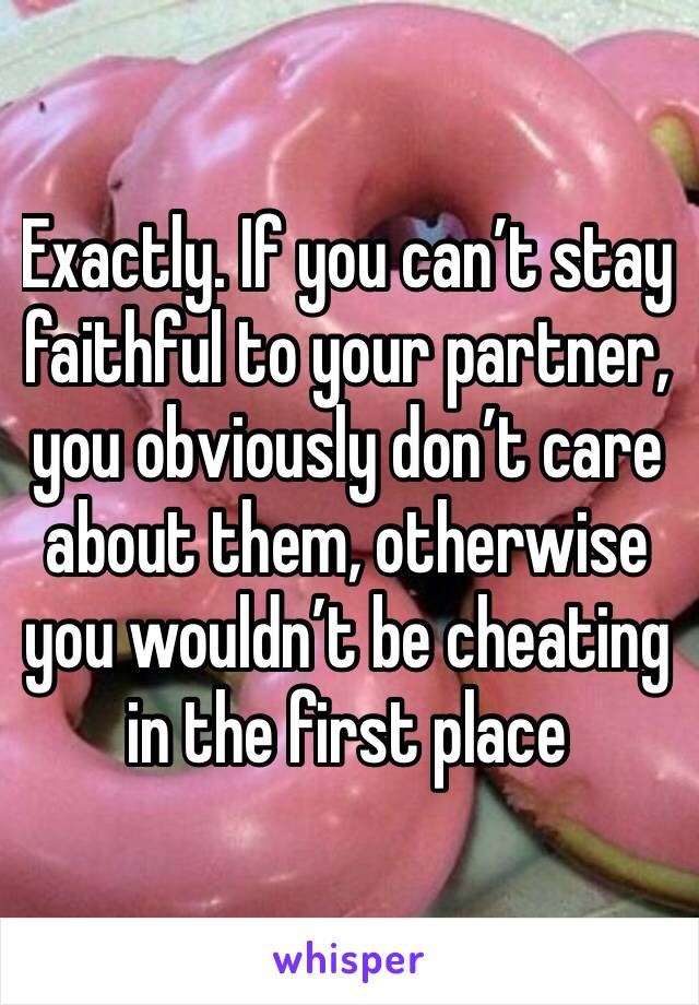 Exactly. If you can’t stay faithful to your partner, you obviously don’t care about them, otherwise you wouldn’t be cheating in the first place