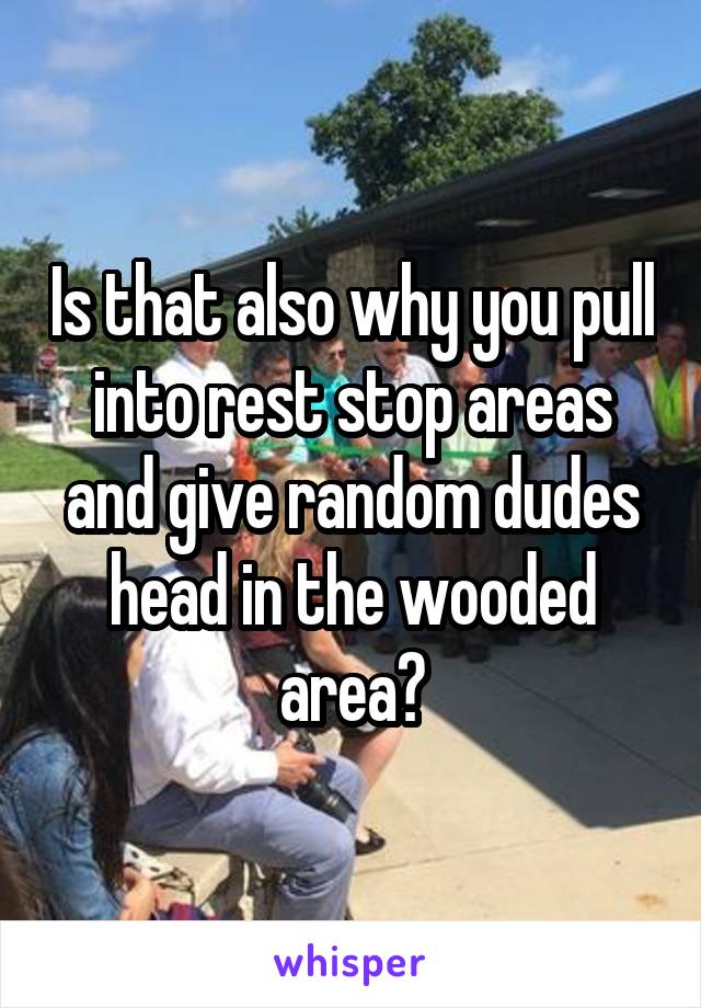 Is that also why you pull into rest stop areas and give random dudes head in the wooded area?