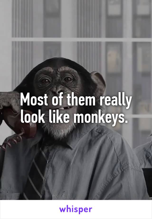Most of them really look like monkeys. 
