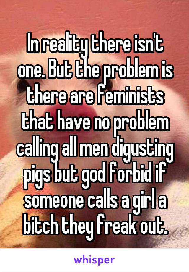 In reality there isn't one. But the problem is there are feminists that have no problem calling all men digusting pigs but god forbid if someone calls a girl a bitch they freak out.