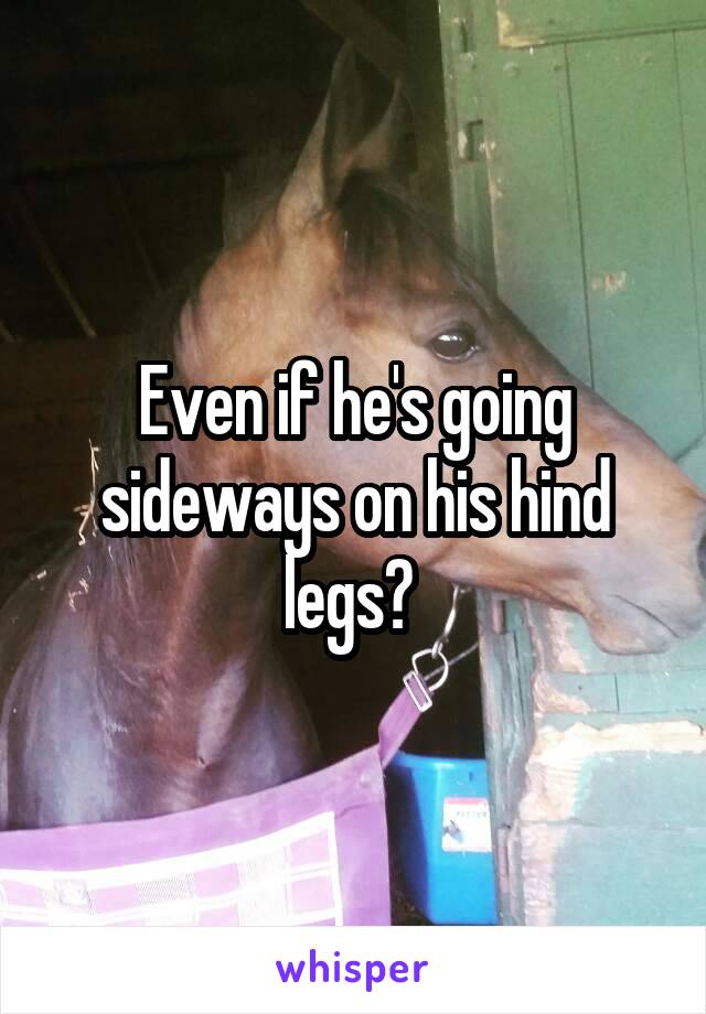 Even if he's going sideways on his hind legs? 