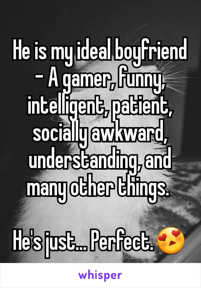 He is my ideal boyfriend - A gamer, funny, intelligent, patient, socially awkward, understanding, and many other things. 

He's just... Perfect.😍