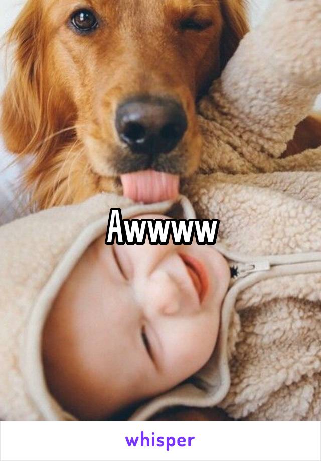 Awwww