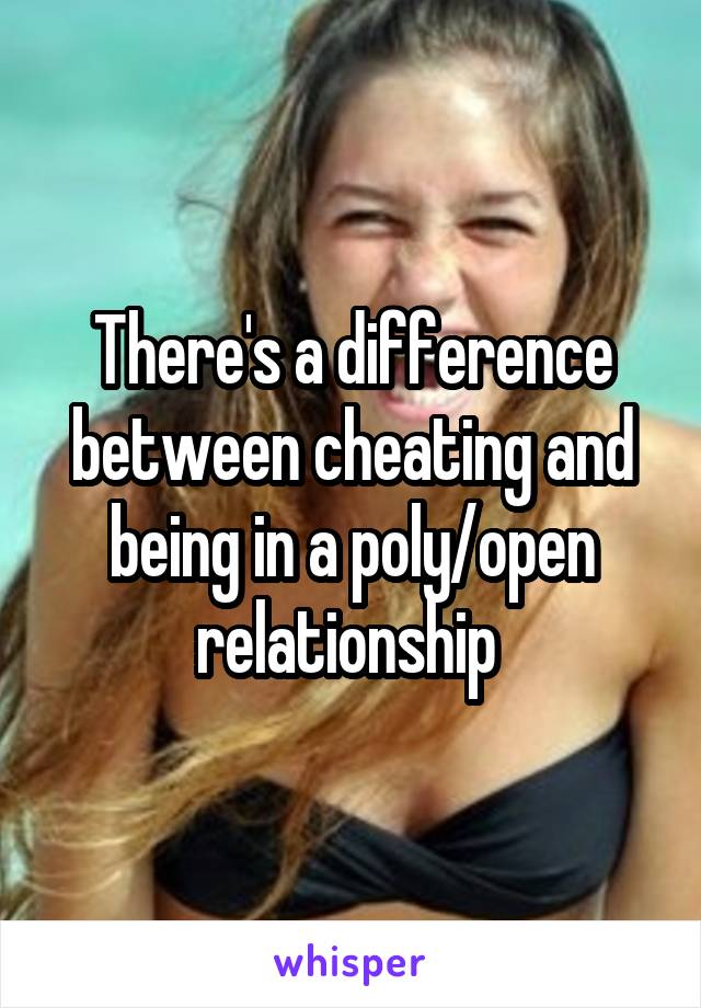 There's a difference between cheating and being in a poly/open relationship 