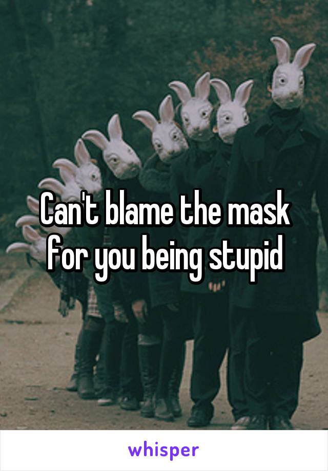 Can't blame the mask for you being stupid