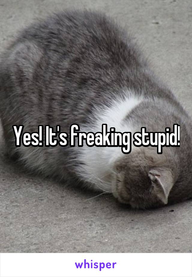 Yes! It's freaking stupid!