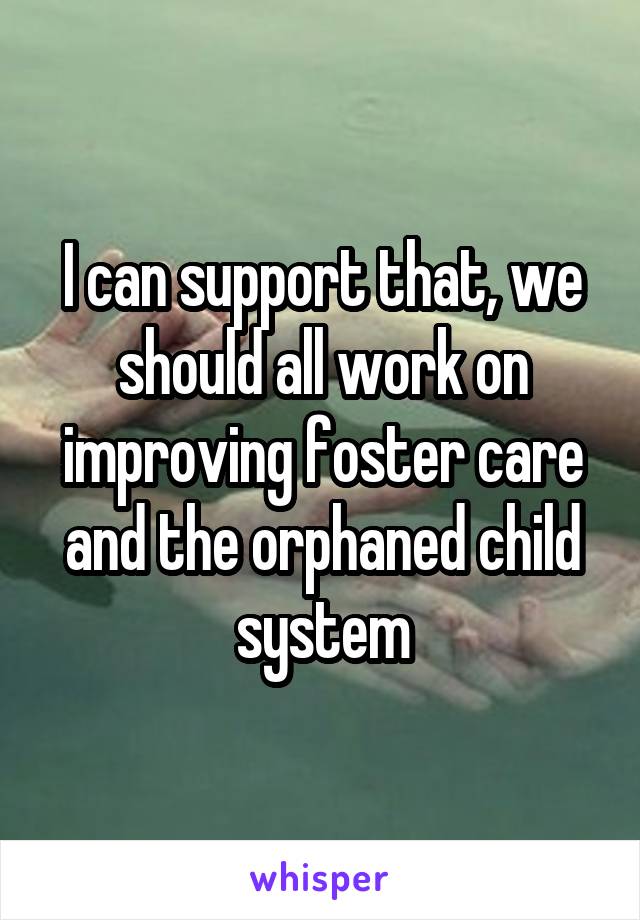 I can support that, we should all work on improving foster care and the orphaned child system