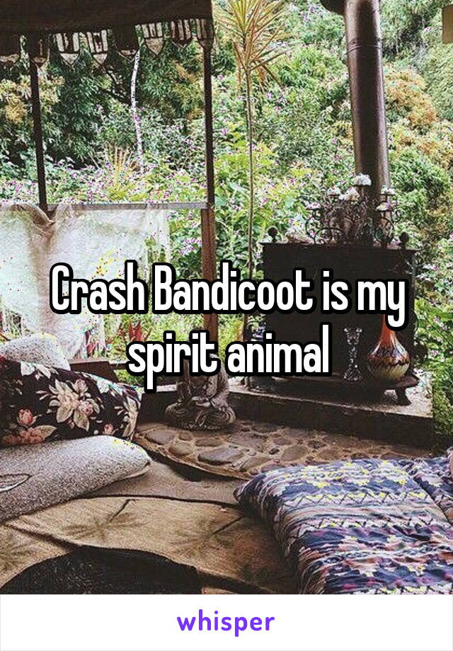 Crash Bandicoot is my spirit animal