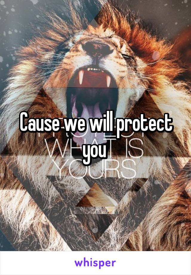Cause we will protect you 
