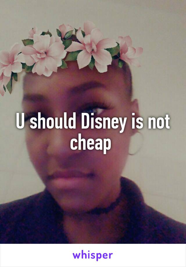 U should Disney is not cheap 