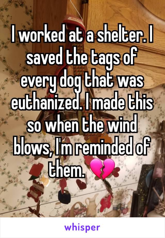 I worked at a shelter. I saved the tags of every dog that was euthanized. I made this so when the wind blows, I'm reminded of them. 💔