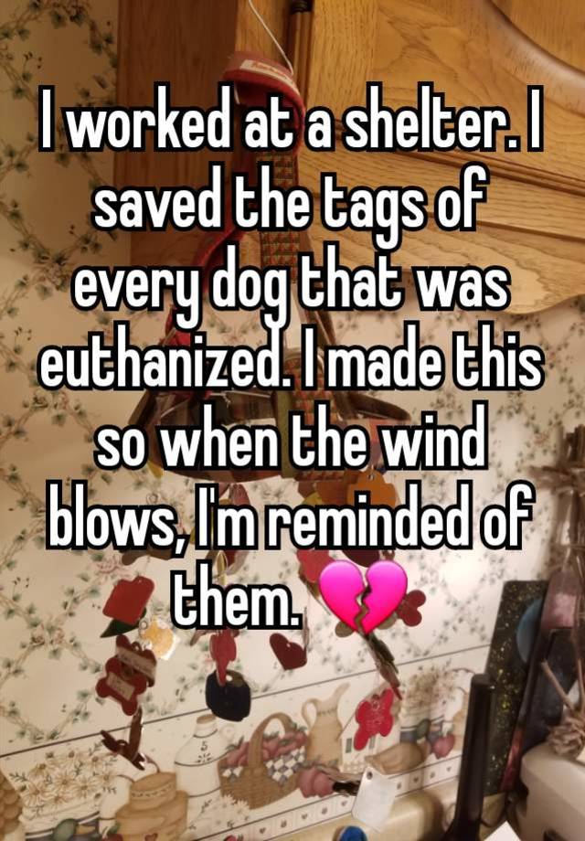 I worked at a shelter. I saved the tags of every dog that was euthanized. I made this so when the wind blows, I'm reminded of them. 💔