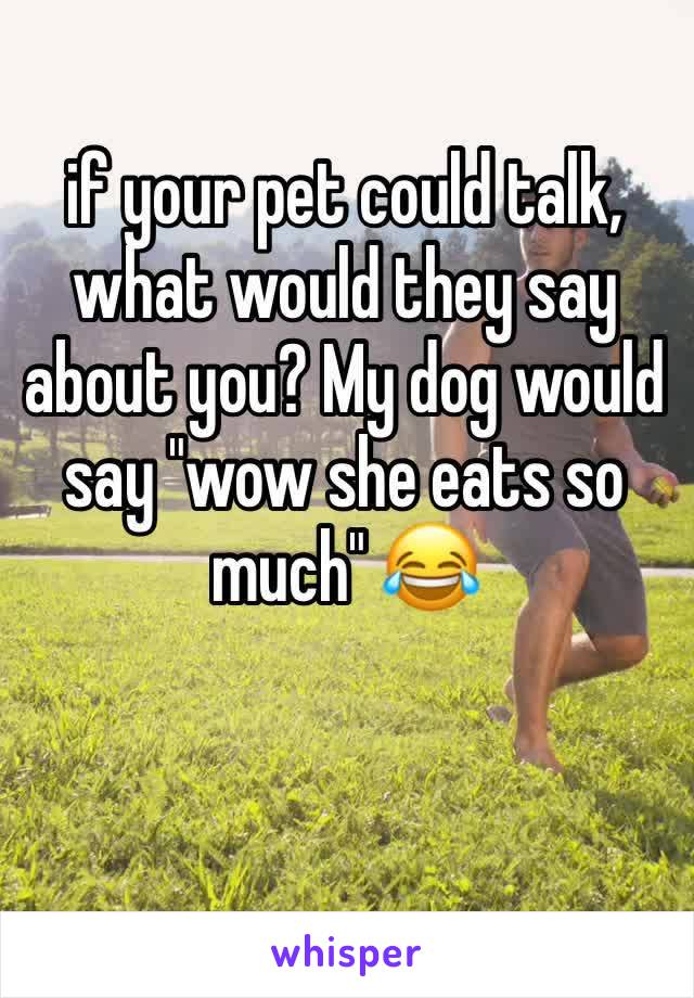 if your pet could talk, what would they say about you? My dog would say "wow she eats so much" 😂