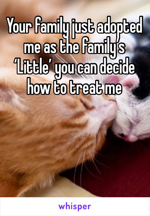 Your family just adopted me as the family’s ‘Little’ you can decide how to treat me