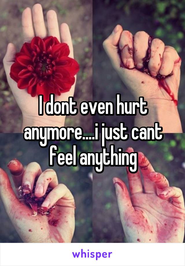 I dont even hurt anymore....i just cant feel anything