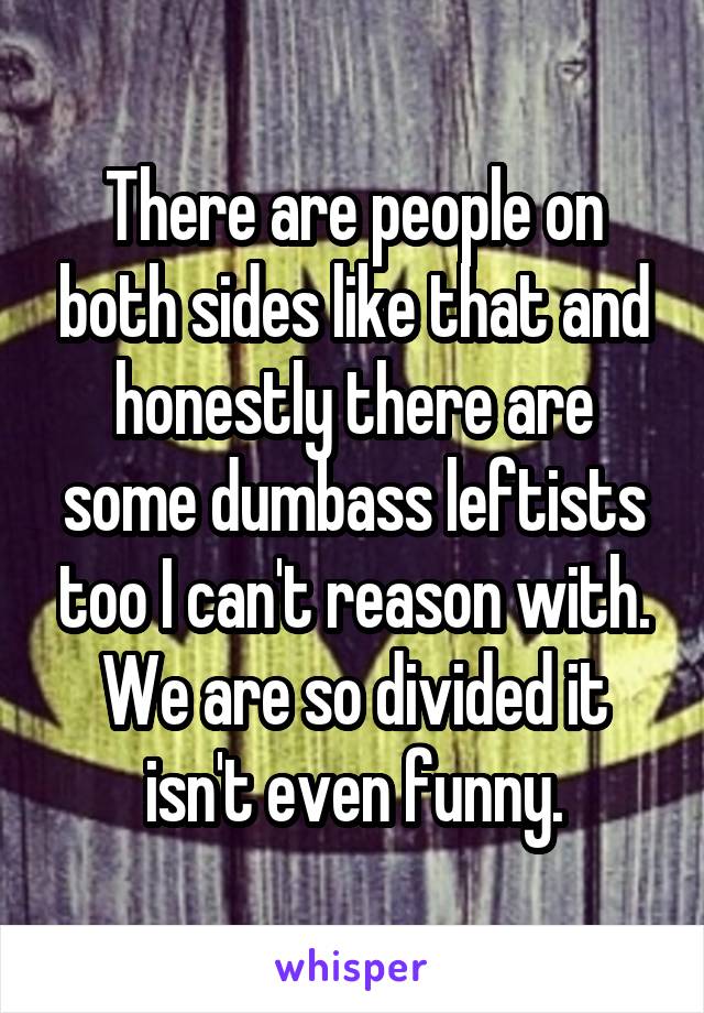 There are people on both sides like that and honestly there are some dumbass leftists too I can't reason with. We are so divided it isn't even funny.