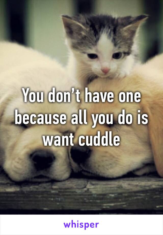 You don’t have one because all you do is want cuddle 