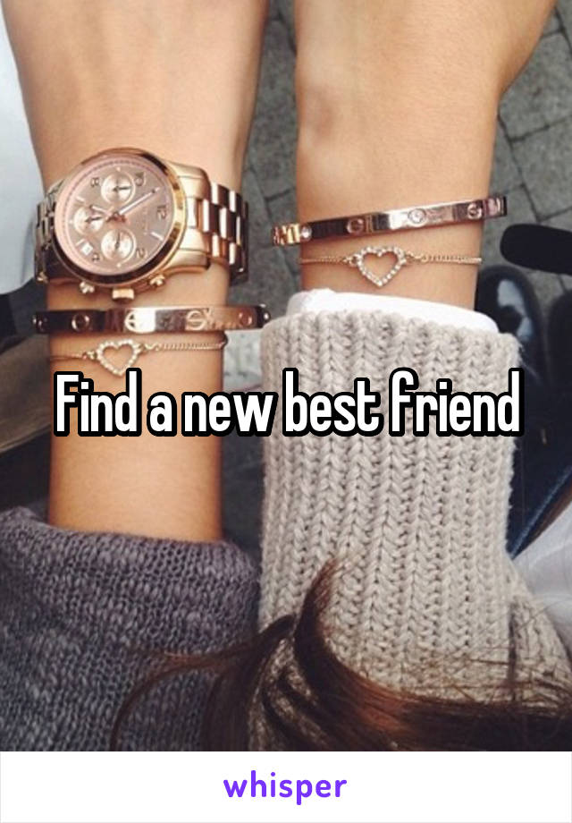 Find a new best friend