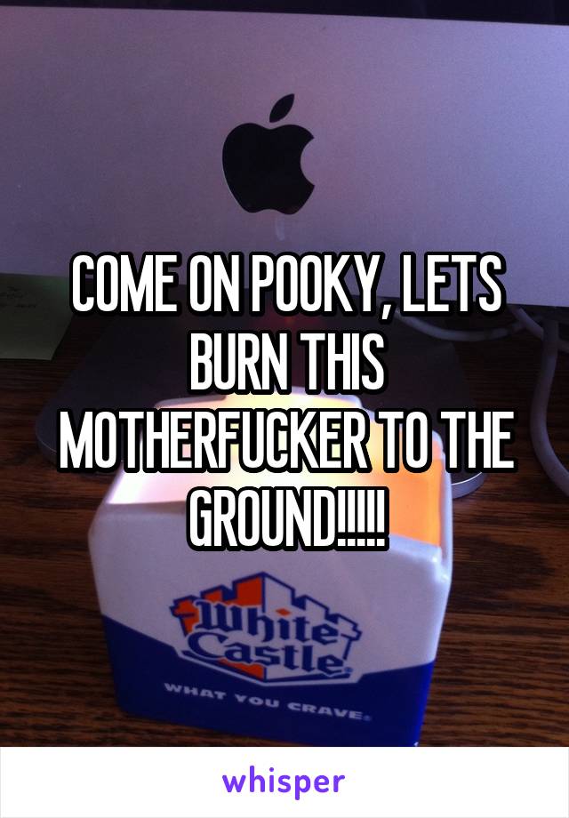 COME ON POOKY, LETS BURN THIS MOTHERFUCKER TO THE GROUND!!!!!