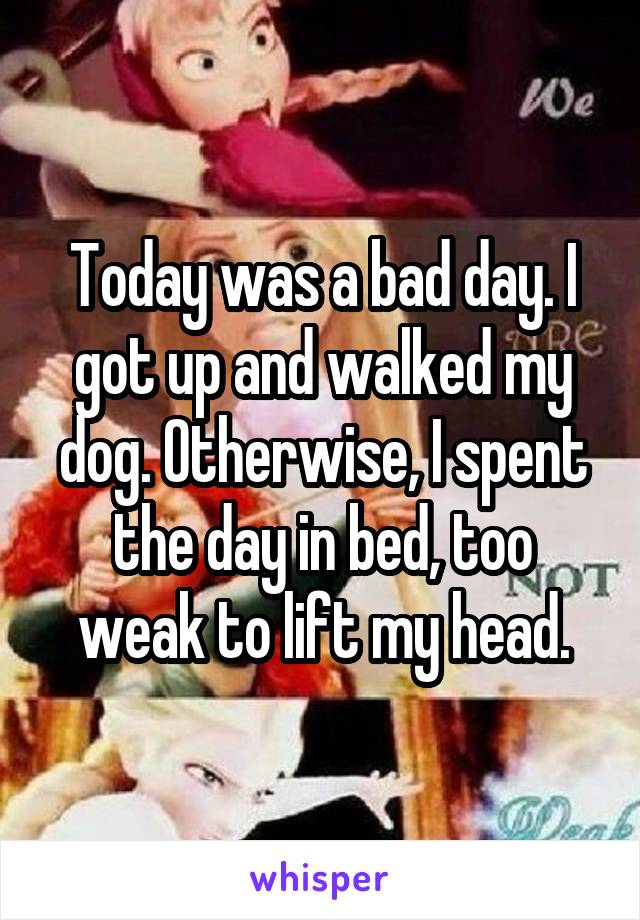 Today was a bad day. I got up and walked my dog. Otherwise, I spent the day in bed, too weak to lift my head.