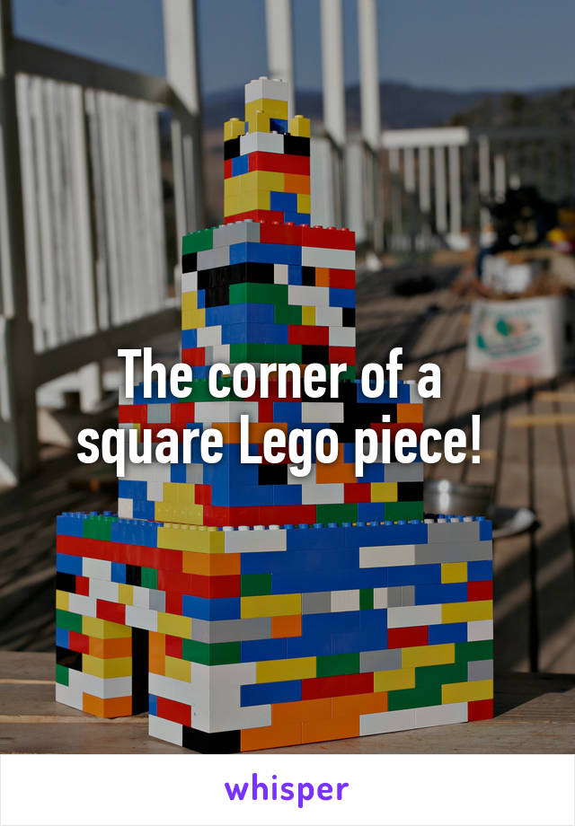 The corner of a 
square Lego piece! 