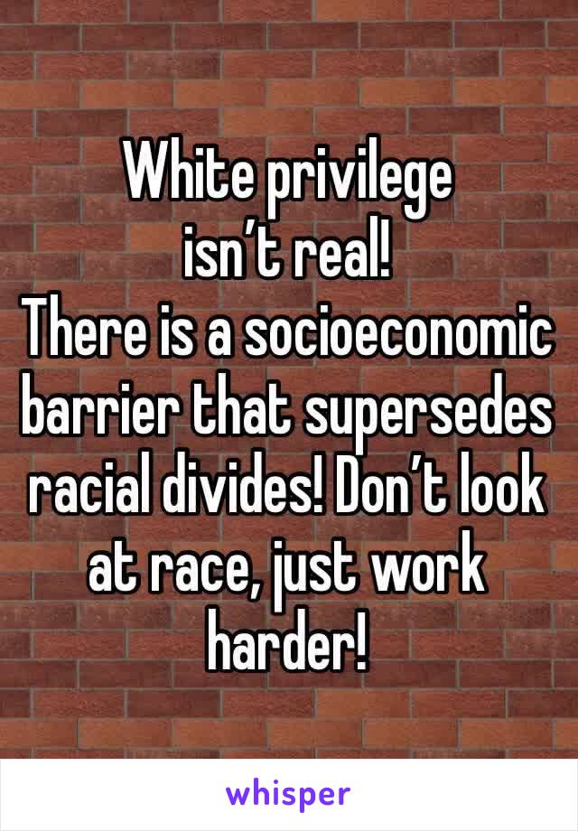 White privilege isn’t real!
There is a socioeconomic barrier that supersedes racial divides! Don’t look at race, just work harder!