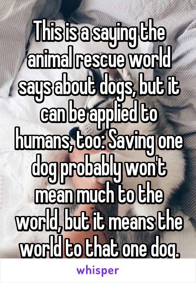 This is a saying the animal rescue world says about dogs, but it can be applied to humans, too: Saving one dog probably won't mean much to the world, but it means the world to that one dog.