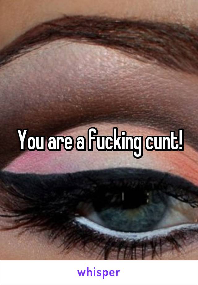 You are a fucking cunt!