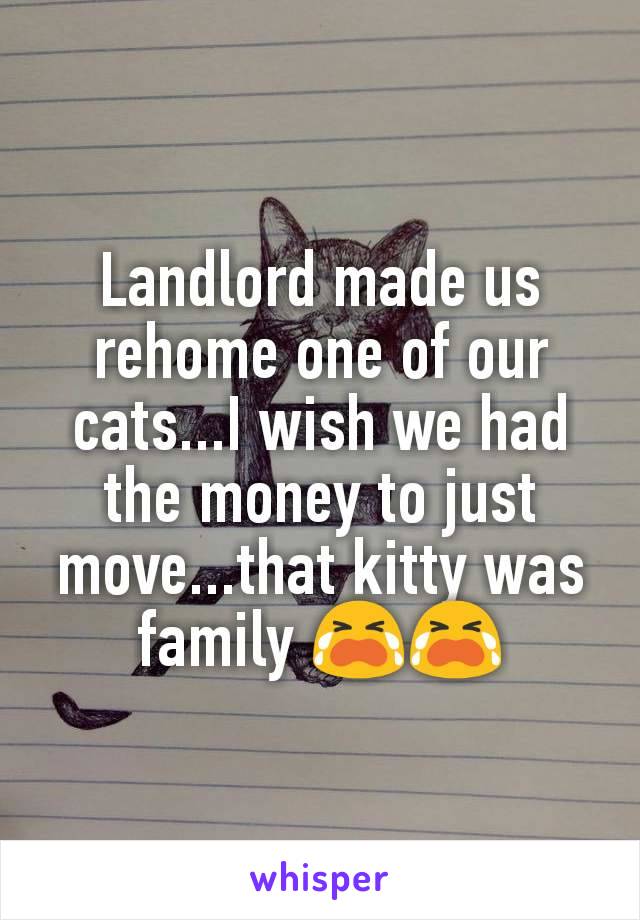 Landlord made us rehome one of our cats...I wish we had the money to just move...that kitty was family 😭😭