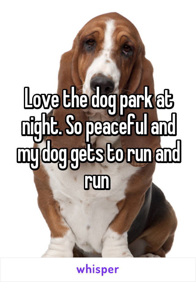 Love the dog park at night. So peaceful and my dog gets to run and run 