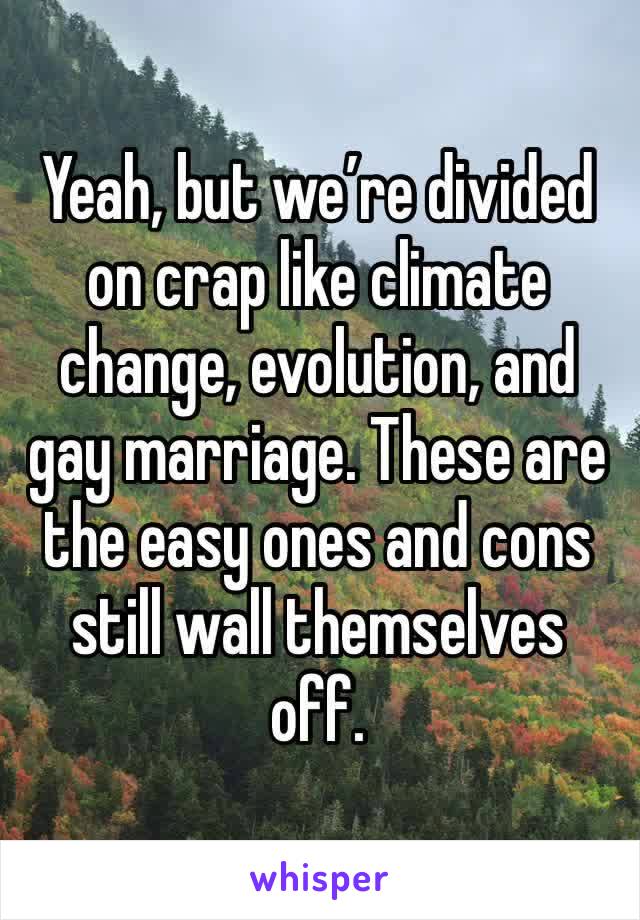 Yeah, but we’re divided on crap like climate change, evolution, and gay marriage. These are the easy ones and cons still wall themselves off. 
