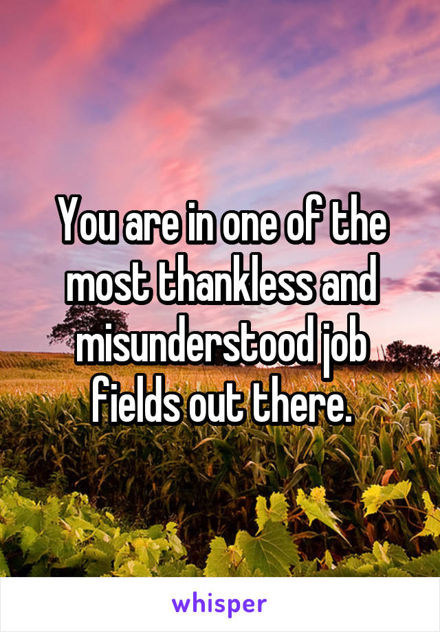 You are in one of the most thankless and misunderstood job fields out there.