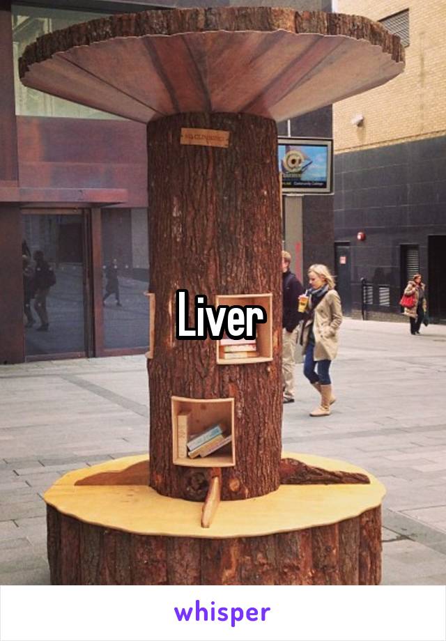 Liver 