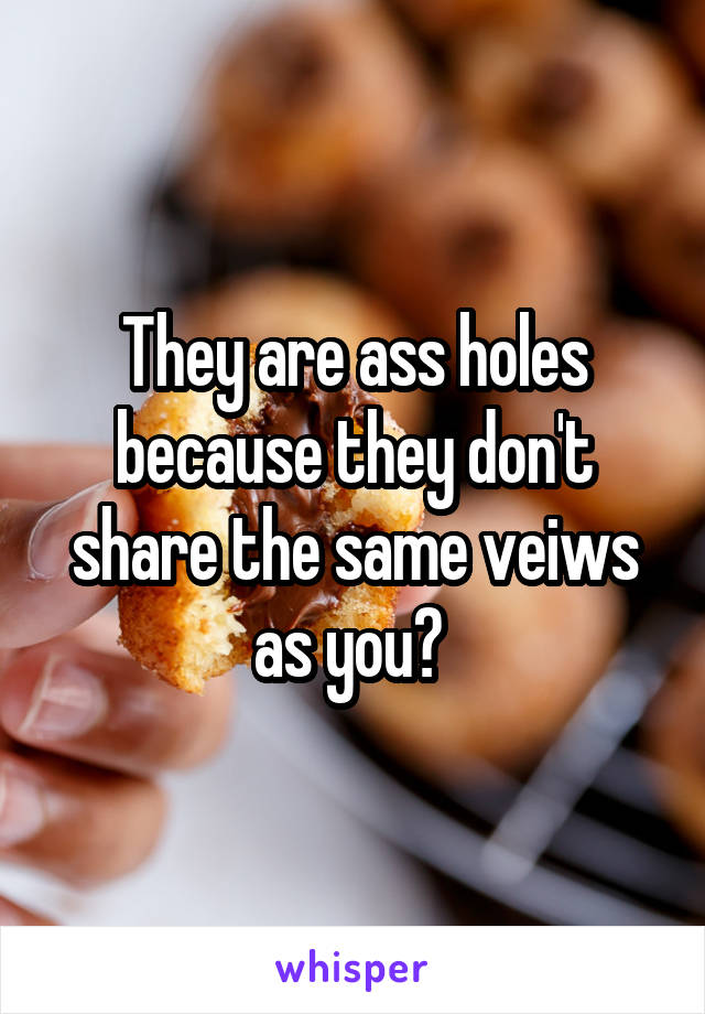 They are ass holes because they don't share the same veiws as you? 