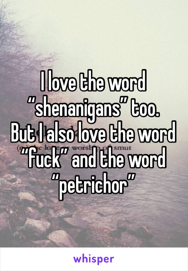 I love the word 
“shenanigans” too.
But I also love the word “fuck” and the word “petrichor” 