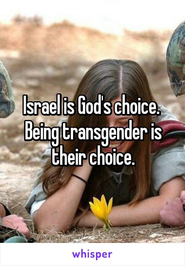 Israel is God's choice. 
Being transgender is their choice.