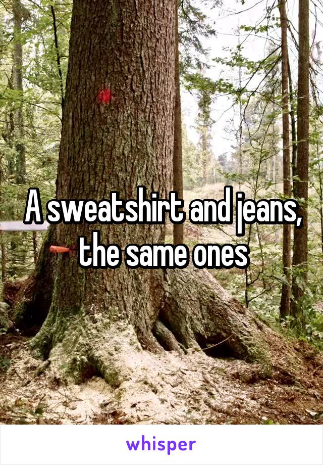 A sweatshirt and jeans, the same ones