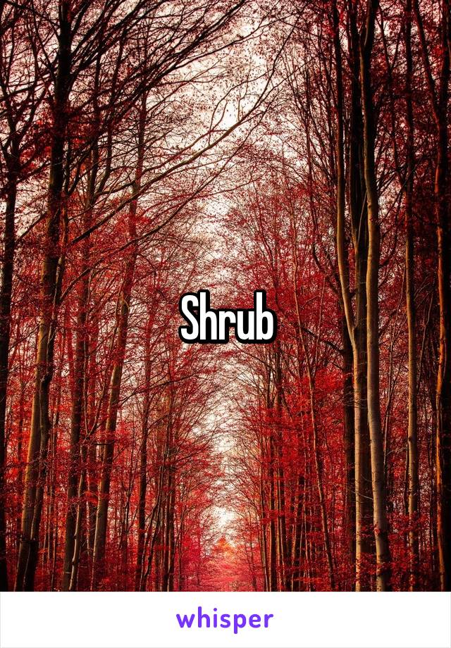 Shrub