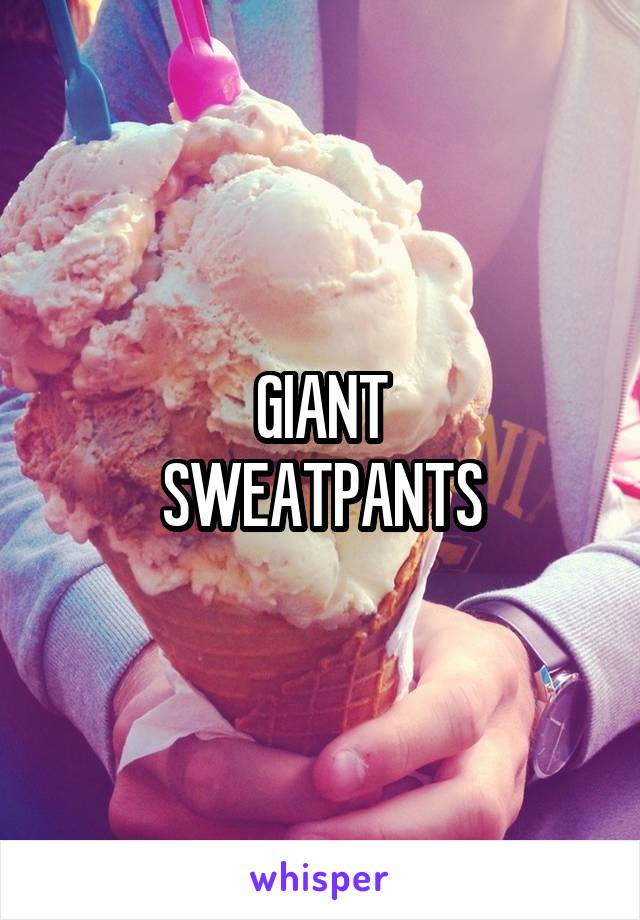 GIANT
SWEATPANTS