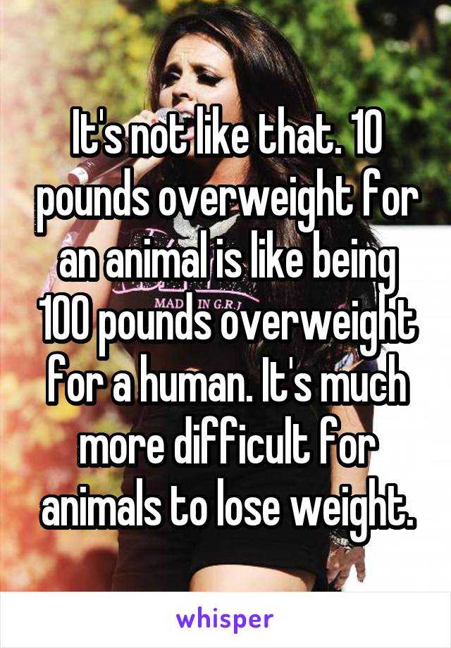 It's not like that. 10 pounds overweight for an animal is like being 100 pounds overweight for a human. It's much more difficult for animals to lose weight.