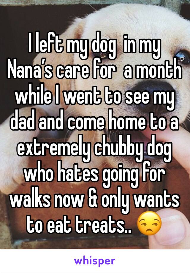 I left my dog  in my Nana’s care for  a month while I went to see my dad and come home to a extremely chubby dog who hates going for walks now & only wants to eat treats.. 😒