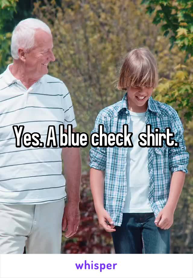 Yes. A blue check  shirt. 