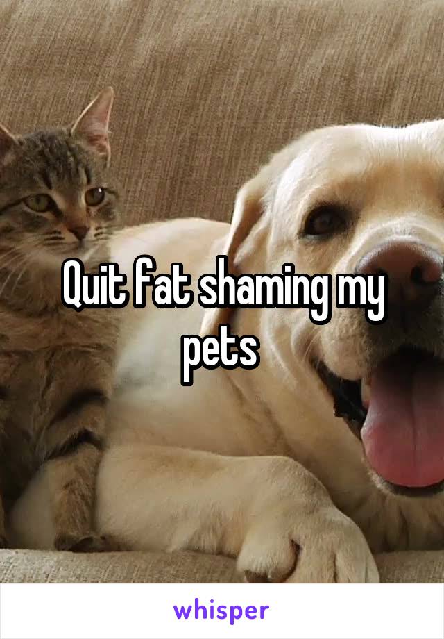 Quit fat shaming my pets 